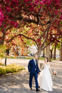 Cherry tree full bloom with newlyweds