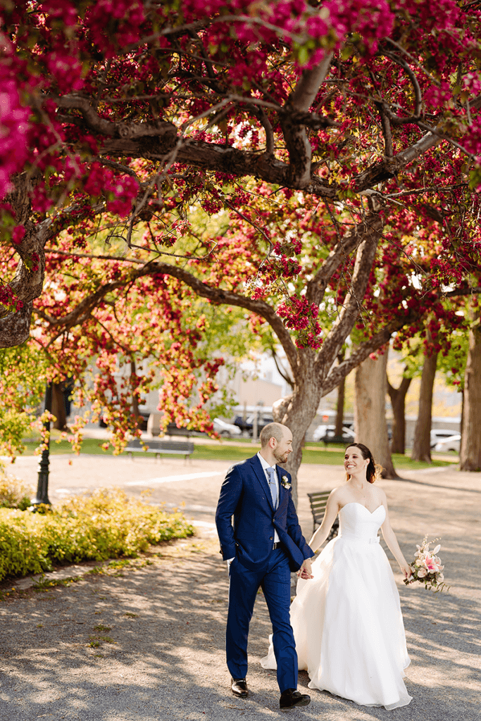 Cherry tree full bloom with newlyweds