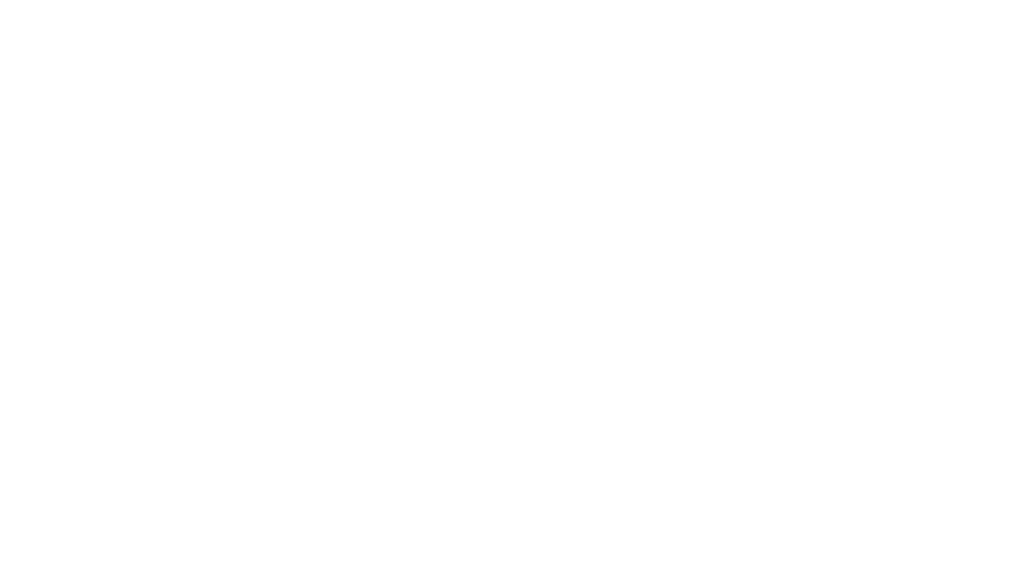 FLASH LOGO-2