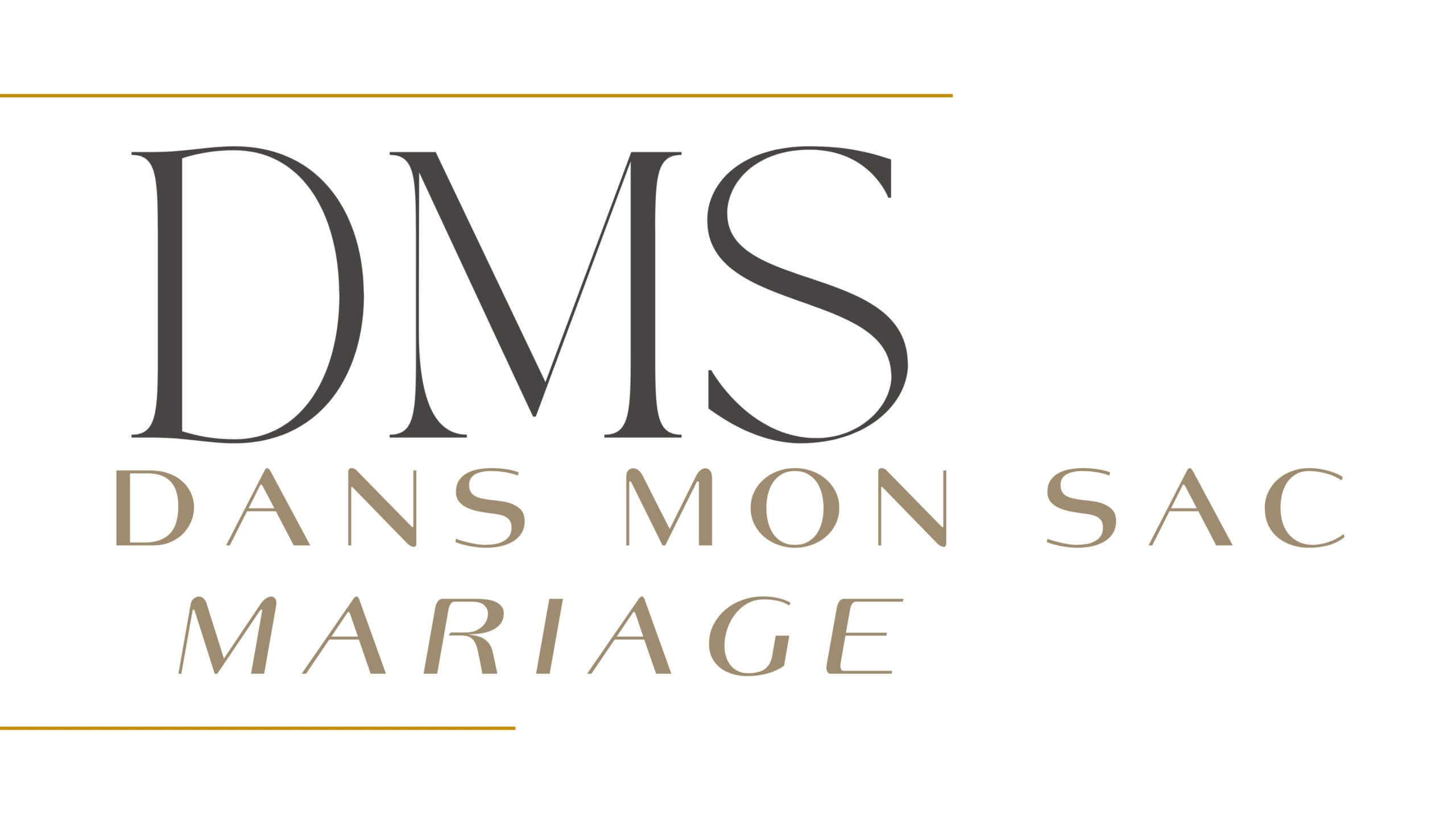 DMS Logo DMS Logo