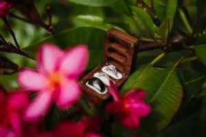 Alliances dans un décor tropical
