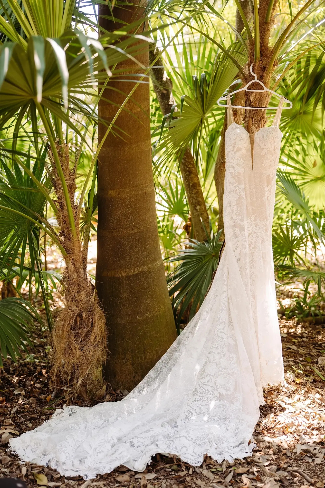 Robe de la mariée suspendue sur un palmier