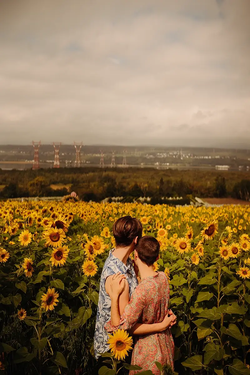 Sunflower field with LGBTQ+ lovers