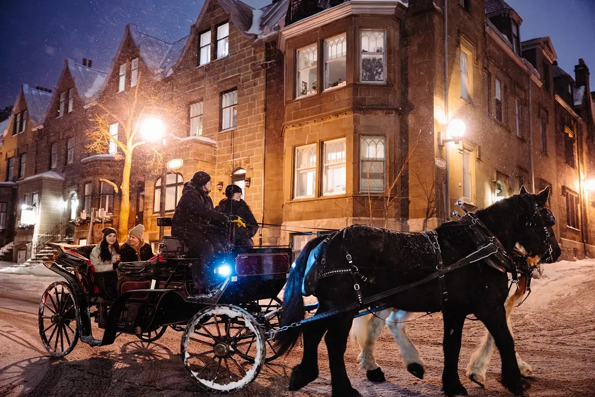 A horse-drawn cart